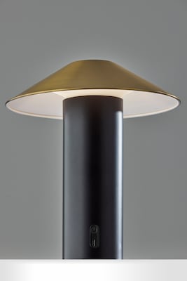 Adesso ADS360 Pina 10.5H LED Table Lamp, Black/Antique Brass (AD9205-01)