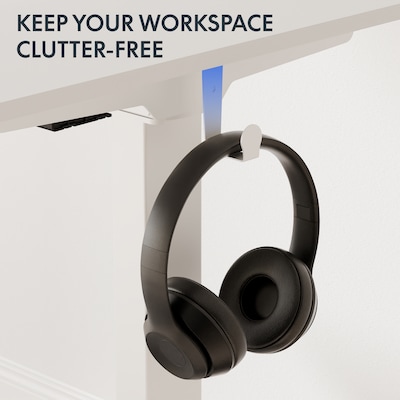 Flexispot EZ2 48"W Electric Adjustable Standing Desk, White (EZ2W-E)