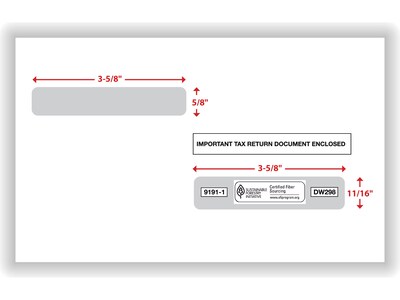 ComplyRight Double Window Envelope, 5.63" x 9", White/Black, 100/Pack (91911)