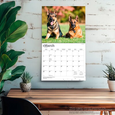 2027 BrownTrout For the Love of German Shepherds 14" x 12" Monthly Wall Calendar, Assorted Colors (9798330709250)