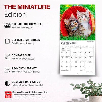 2027 BrownTrout For the Love of Kittens 7" x 7" Monthly Wall Calendar (9798330709731)