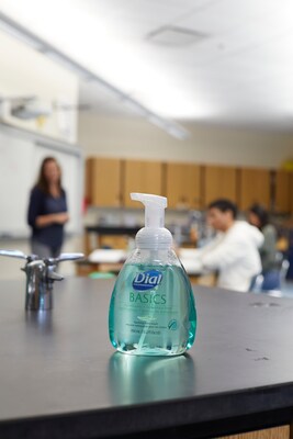 Dial Basics Foaming Hand Soap, Floral, 15.2 Oz., 4/Carton (98609)