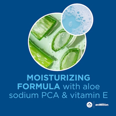 enMotion Gen2 Foaming Soap Refill by GP PRO, 1200 mL, 2/Carton (42818)