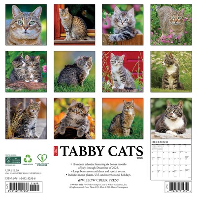 2026 Willow Creek Tabby Cats 12 x 12 Monthly Wall Calendar (52938)