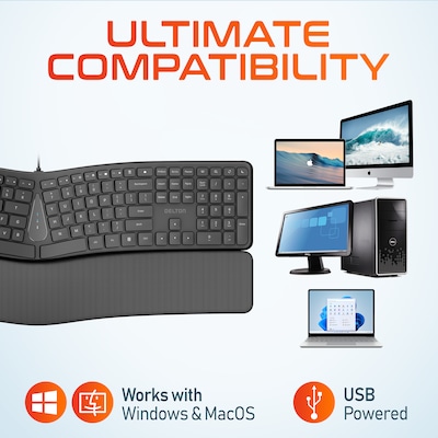 Delton KB250 Wired Ergonomic Keyboard with Cushioned Wrist Rest, USB-A, Black (DKBE250-U)