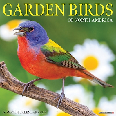 2027 Willow Creek Garden Birds of North America 12 x 12 Monthly Wall Calendar, Assorted Colors (60315)