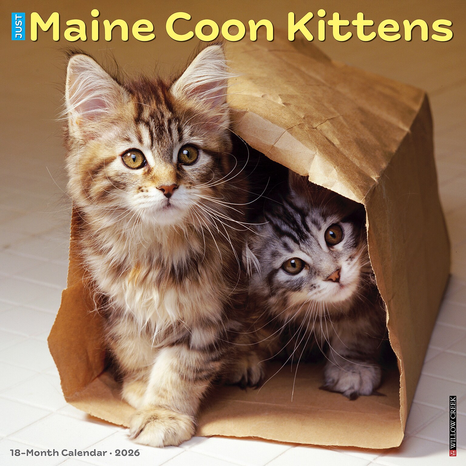 2026 Willow Creek Maine Coon Kittens 12 x 12 Monthly Wall Calendar (51856)