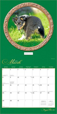 2026 BrownTrout Doggie Doo Doo 12" x 24" Monthly Wall Calendar (9798330703166)