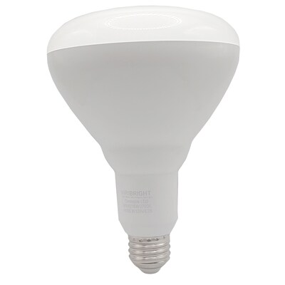 Viribright BR40 16 Watts Daylight LED Flood & Spot Bulb, 4/Pack (654656)