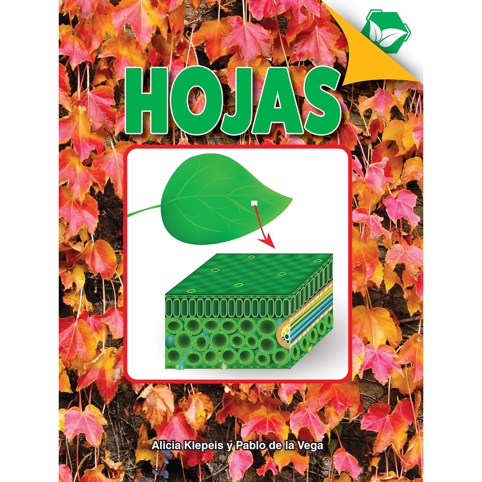Carson-Dellosa Discovery Library Hojas Book, Hardcover (CD-9781731654465)