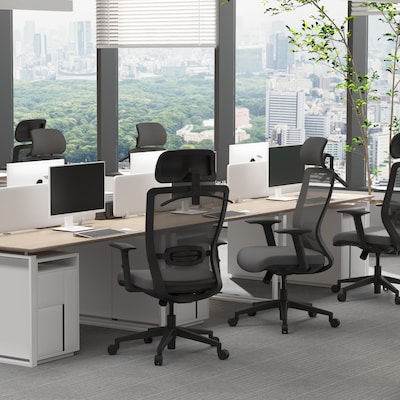 FlexiSpot Ergonomic Mesh Swivel Computer and Desk Chair, Gray (C3G-FM)