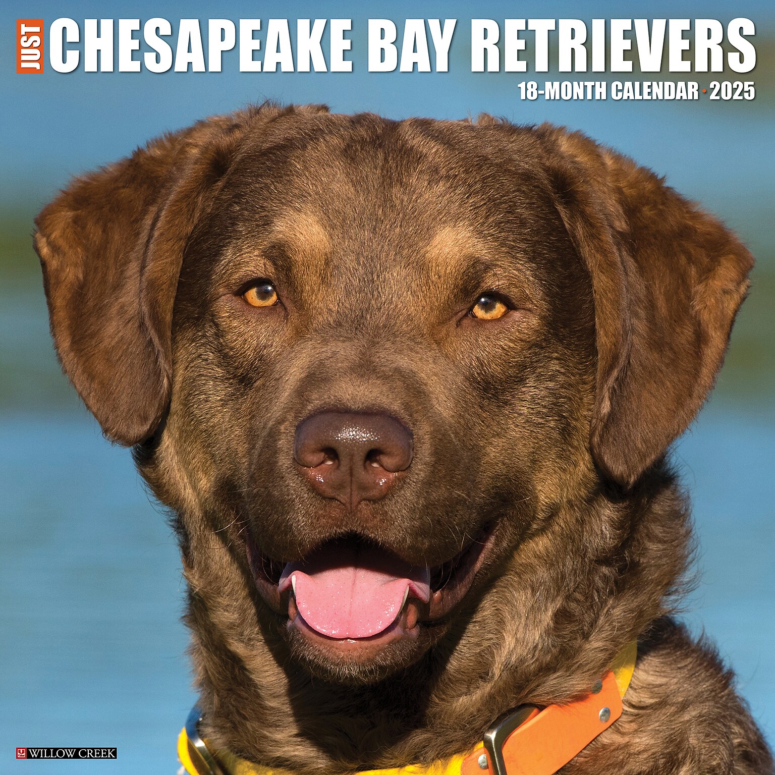 2025 Willow Creek Just Chesapeake Bay Retrievers 12 x 12 Monthly Wall Calendar (42281)