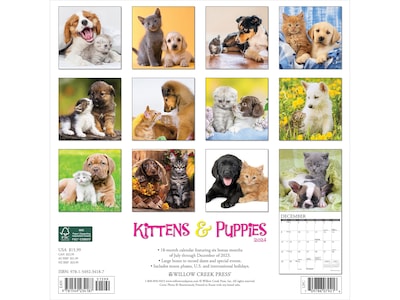 2024 Willow Creek Kittens & Puppies 12 x 12 Monthly Wall Calendar (34187)