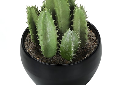 Monarch Specialties Inc. 6" Artificial Succulent Plants, 3/Set (I 9556)