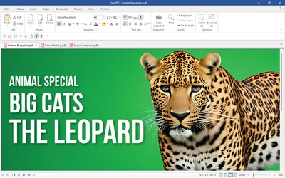 SoftMaker FlexiPDF 2025 for 3 Devices, Windows, Download (BN-0033-E)