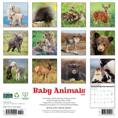 2026 Willow Creek Baby Animals 12 x 12 Monthly Wall Calendar (50002X)