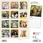 2023 BrownTrout I Love Kittens 12 x 24 Monthly Wall Calendar, (9781975448967)