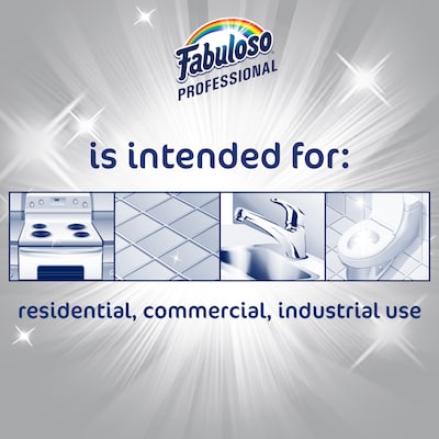 Fabuloso Professional All Purpose Cleaner & Degreaser, Ocean Scent, 1 Gal., 4/Carton (US05252A)