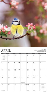 2027 Willow Creek Psalms 12" x 12" Monthly Wall Calendar, Assorted Colors (61916)