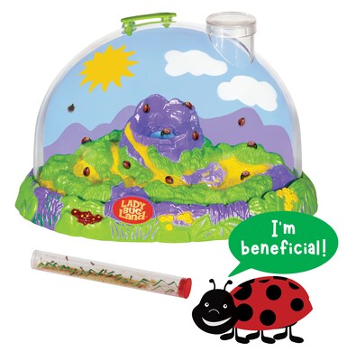 Insect Lore Ladybug Land Hatching Kit (ILP2100)