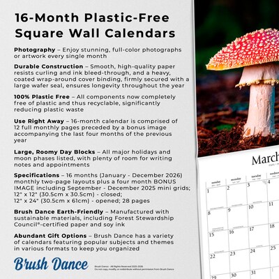 2026 Brush Dance Magic Mushrooms 12" x 12" Monthly Wall Calendar (9798330706570)