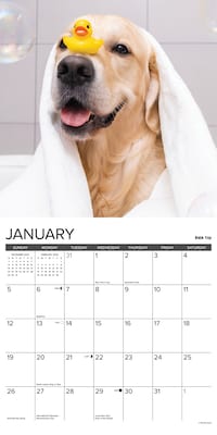 2025 Willow Creek 12 Uses for a Golden 12" x 12" Monthly Wall Calendar, Multicolor (41178)