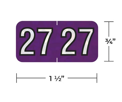 Medical Arts Press Holographic 2027 Year Labels, 3/4 x 1-1/2, Violet, 500/Roll