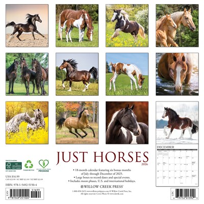 2026 Willow Creek Horses 12 x 12 Monthly Wall Calendar (51504X)