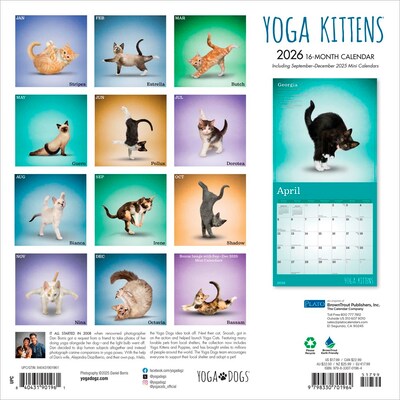 2026 Plato Yoga Kittens 12 x 12 Monthly Wall Calendar (9798330701964)