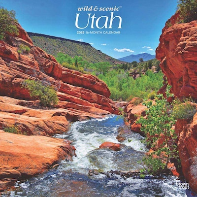 2025 BrownTrout Utah Wild & Scenic 12 x 12 Monthly Wall Calendar (9781975475826)