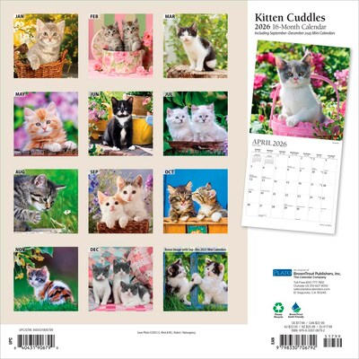 2026 Plato Kitten Cuddles 12 x 12 Monthly Wall Calendar (9798330706792)