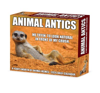 2026 Willow Creek Animal Antics 6.2" x 5.4" Day-to-Day Calendar (55137)