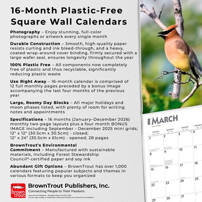 2026 BrownTrout Songbirds 12" x 12" Monthly Wall Calendar (9798330705634)