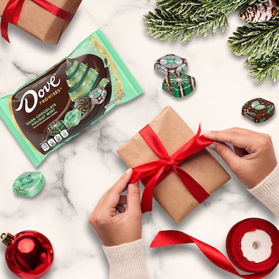 Dove Promises Snack Size Mint Dark Chocolate Pieces, 7.94 Oz. (MMM60974)