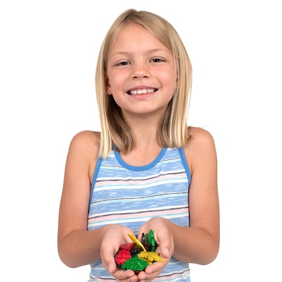 Reday2Learn Coconut Leaves, Assorted Colors, 50/Set (CE-10008)