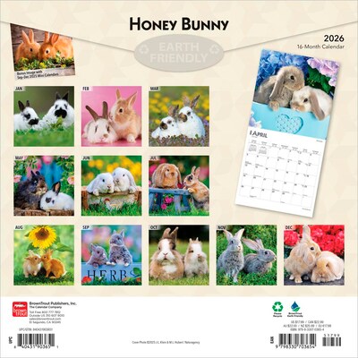 2026 BrownTrout Honey Bunny 12 x 12 Monthly Wall Calendar (9798330703654)