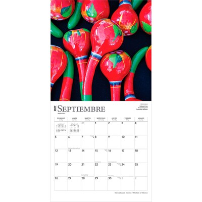 2027 BrownTrout Mercados de Mexico Markets of Mexico 12" x 12" Monthly Wall Calendar (9798330711079)