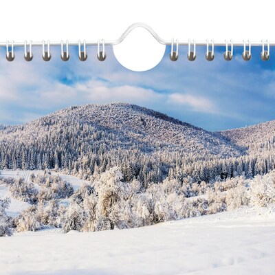 2026 AT-A-GLANCE Scenic 12" x 27" Three-Month Wall Calendar (DMW503-28-26)