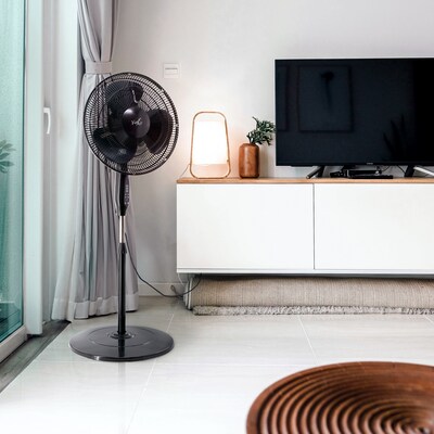 Vie Air 16" Oscillating Pedestal Fan, 3-Speed, Black (938122389M)