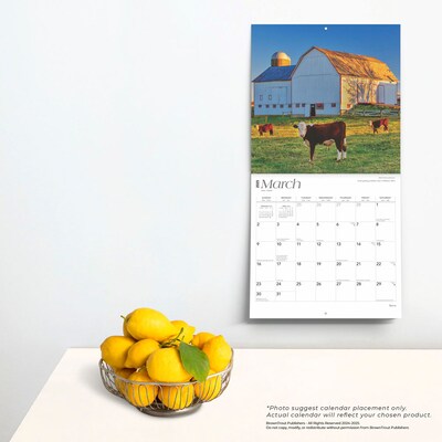 2025 BrownTrout Barns 12" x 12" Monthly Square Wall Calendar (9781975474492)