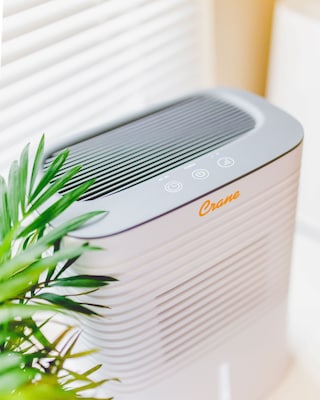 Crane 4.2 Pint Compact Dehumidifier for Small to Medium Rooms, White (EE-1000)
