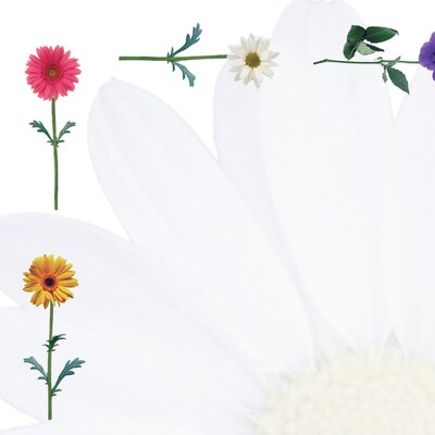 Great Papers Daisies Letterhead, 80 count
