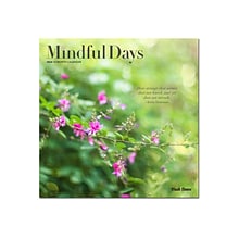 2024 Brush Dance Mindful Days 12 x 12 Monthly Wall Calendar (9781975469986)