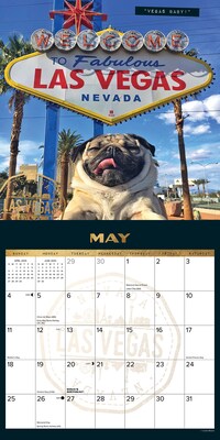2025 Willow Creek Doug the Pug 12" x 12" Monthly Wall Calendar (42755)