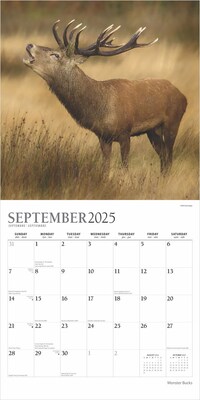 2025 Plato Monster Bucks 12" x 24" Monthly Square Wall Calendar, (9781975480769)