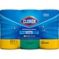 Clorox Disinfecting Wipes Value Pack, Bleach Free Cleaning Wipes - 225 Wipes (30208)