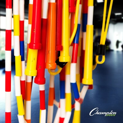 Physical Education Kit, 7 Assorted Balls & 14 Assorted Size Jump Ropes/Kit (CHUUPGSET2)