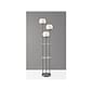 Adesso Bianca 63" Brushed Steel Floor Lamp with 3 Globe Shades (4023-22)