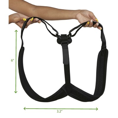 Mind Reader Mesh Posture Aid Support, One Size (BACKPOS-BLK)