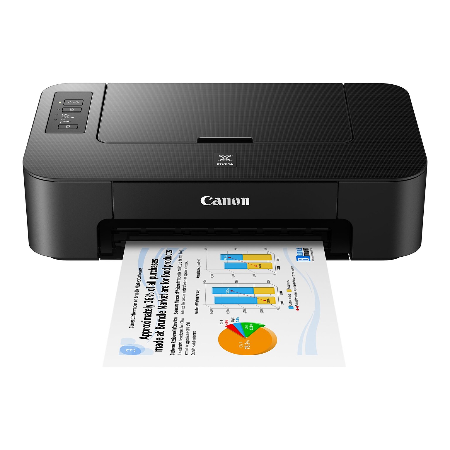 Canon PIXMA TS202 Inkjet Printer, Single-Function, Print (2319C002)